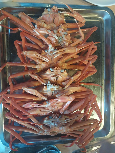 누리국수 이미지