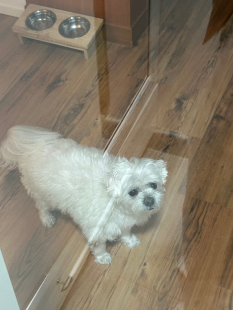 놀아보자 이미지
