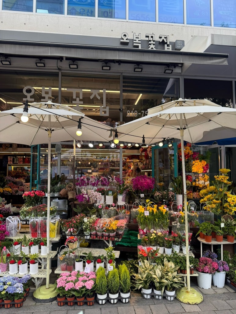 오복꽃집 이미지