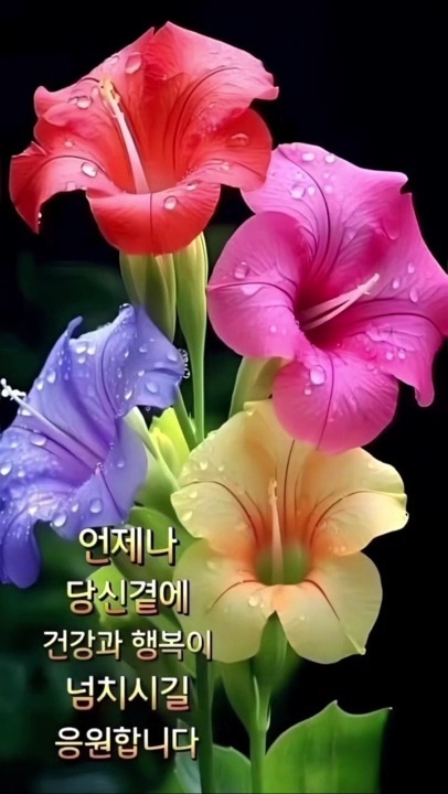 삼남 이미지