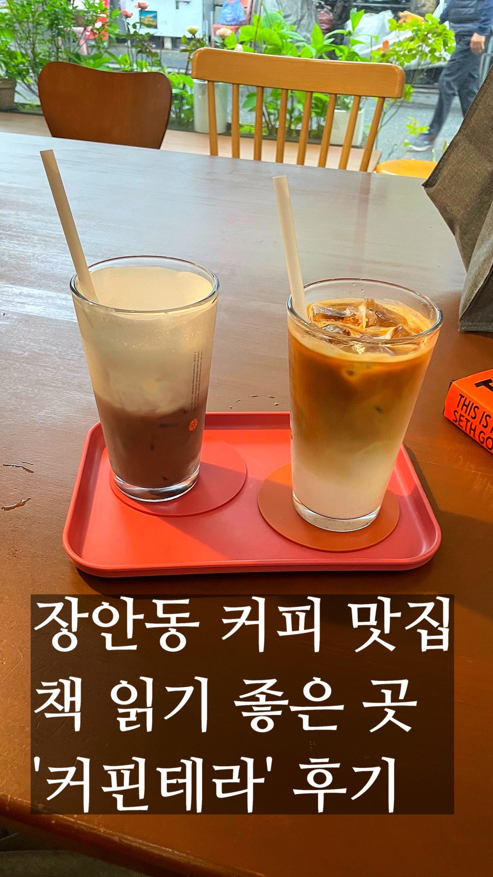 커핀테라 이미지