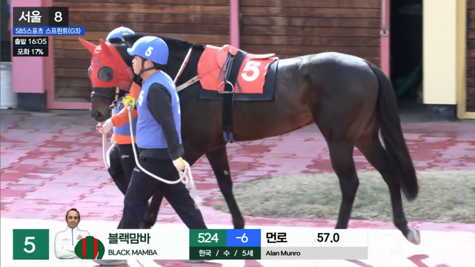 마주 이미지
