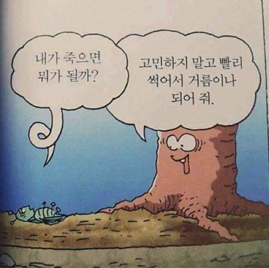 돈채 이미지