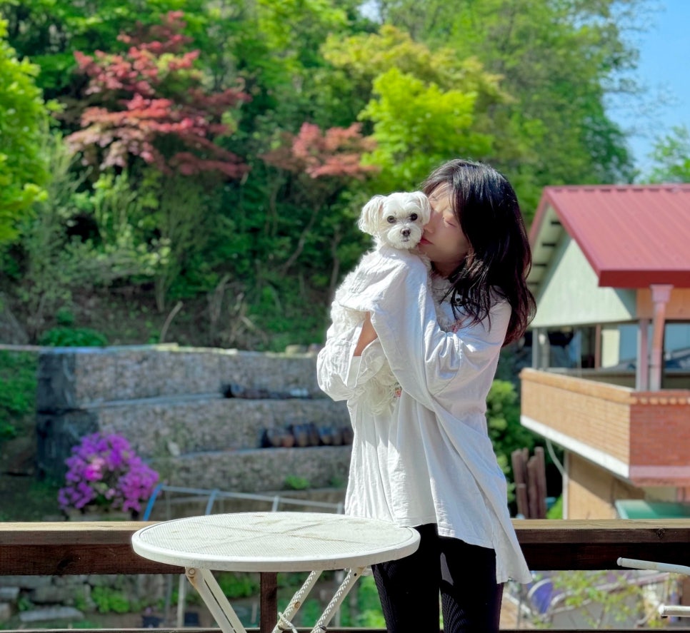 4242온다 이미지