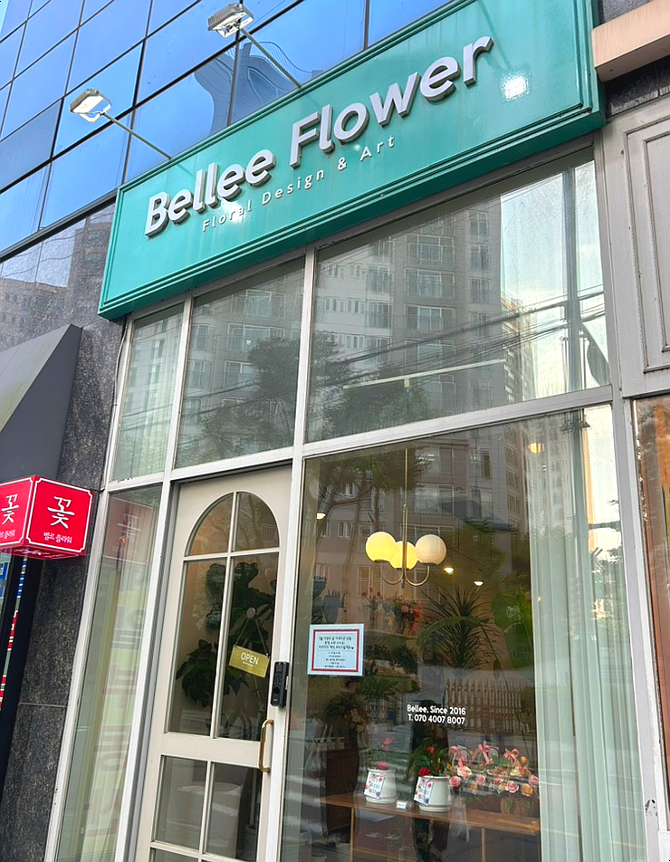 벨르플라워 이미지