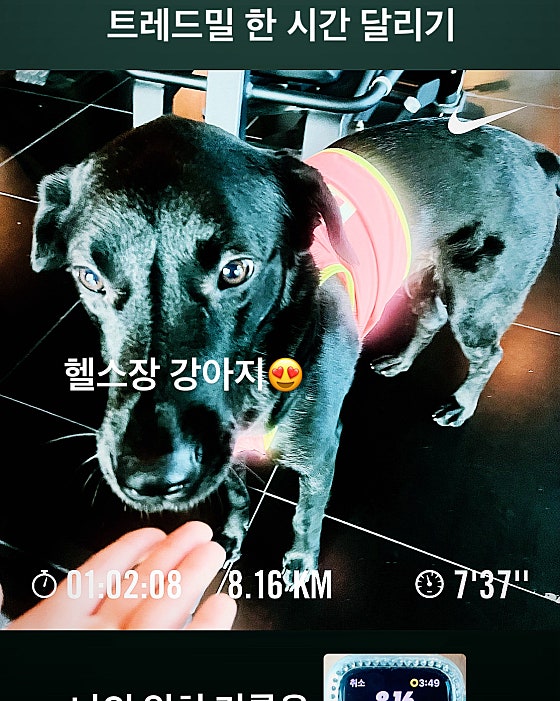 제니스짐 이미지