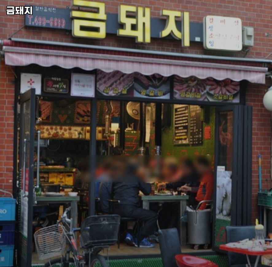 금돼지 사진 6