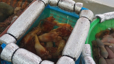 마산 해물포차 이미지