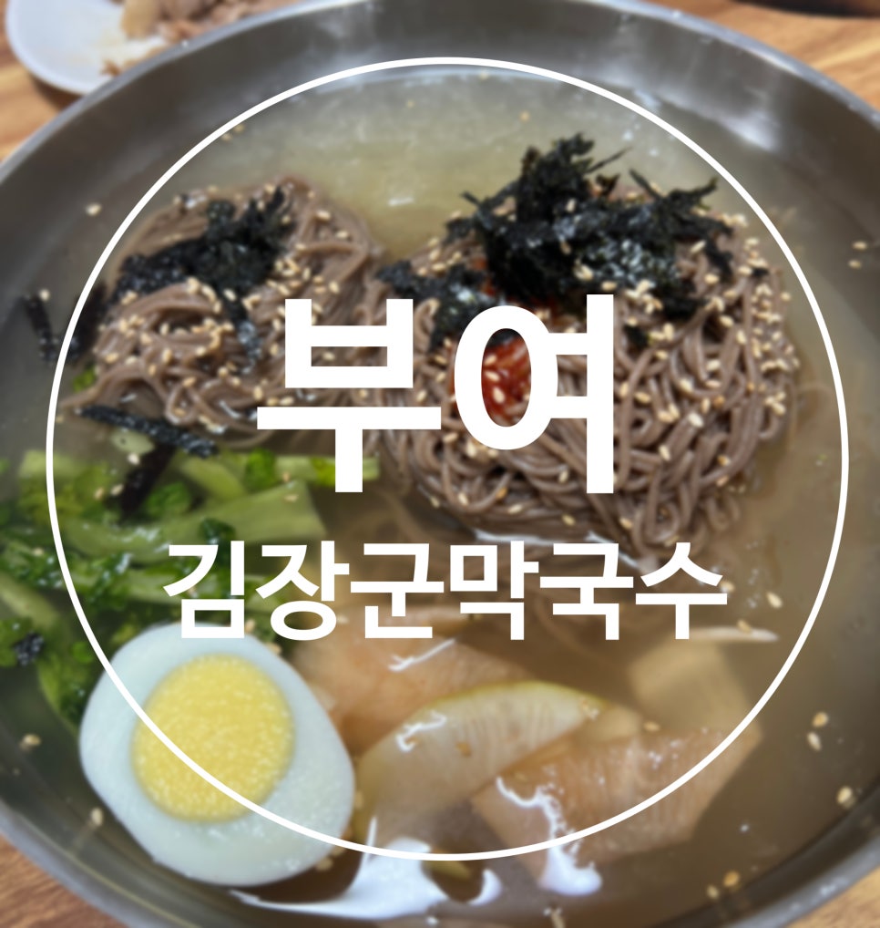 김장군막국수 이미지
