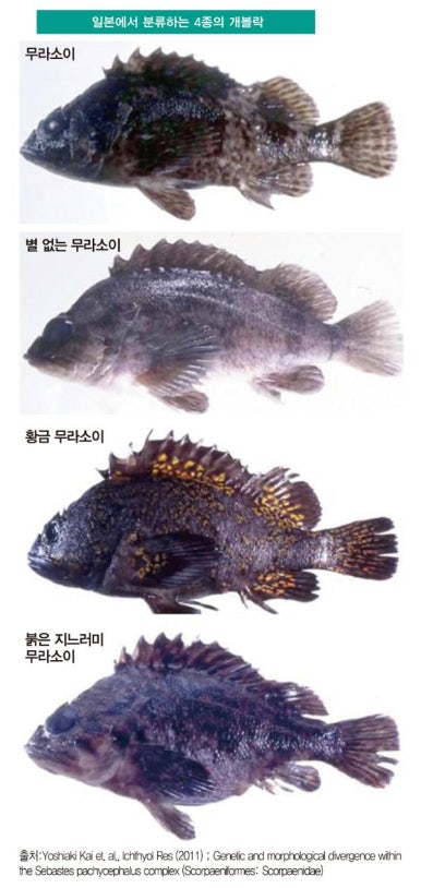 레인저피싱 이미지