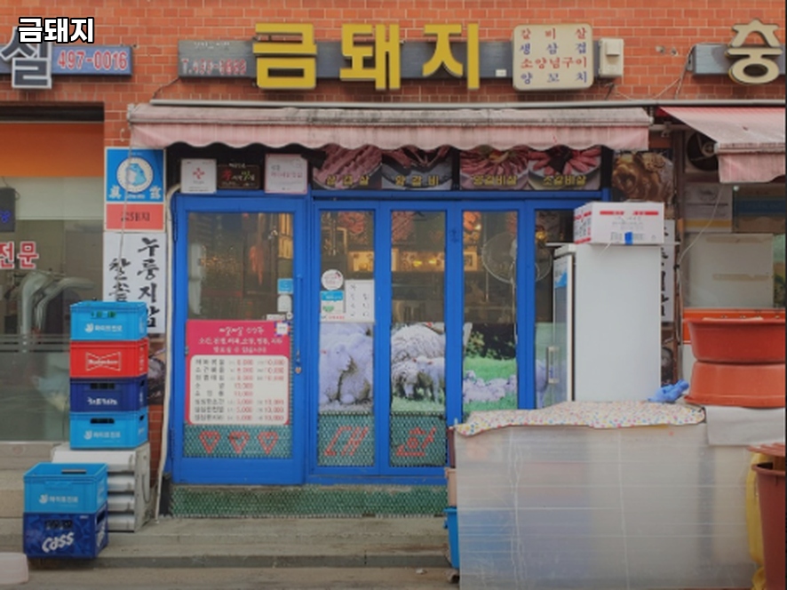금돼지 사진 7