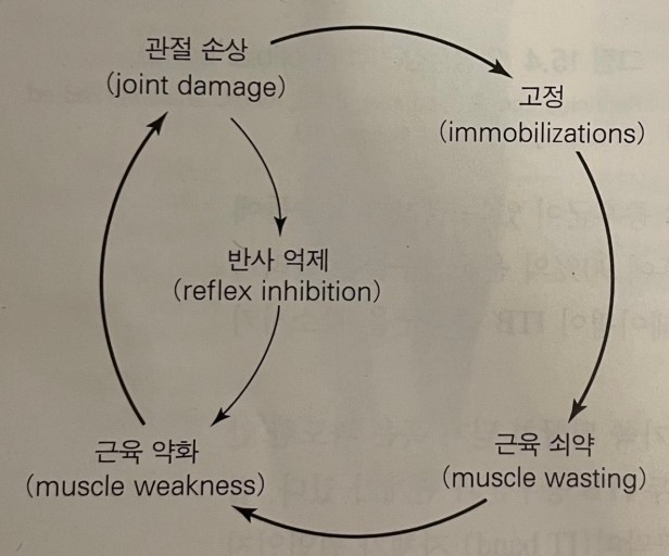 본케어운동센터 이미지