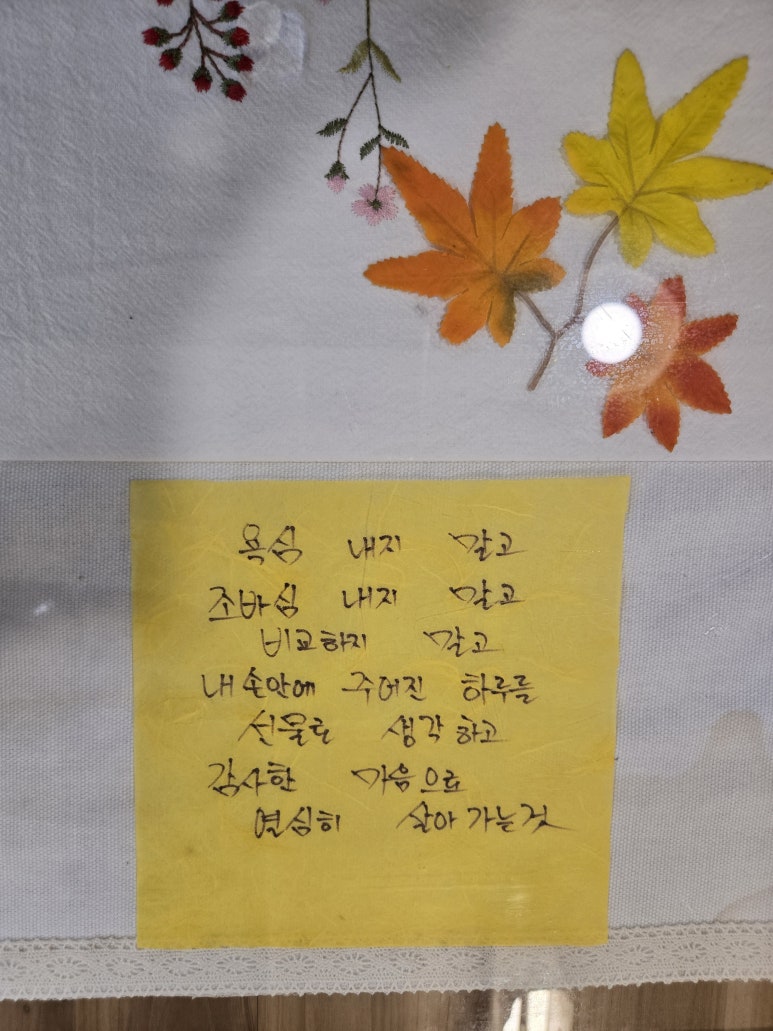 윤하정아구찜 이미지