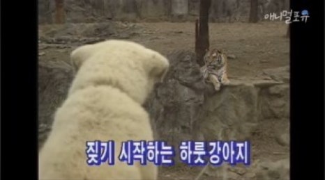 없음 이미지