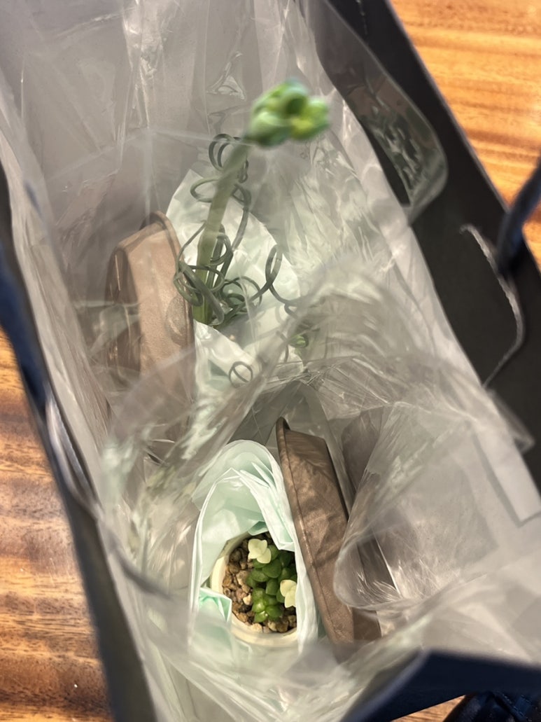 고타야의숲 이미지