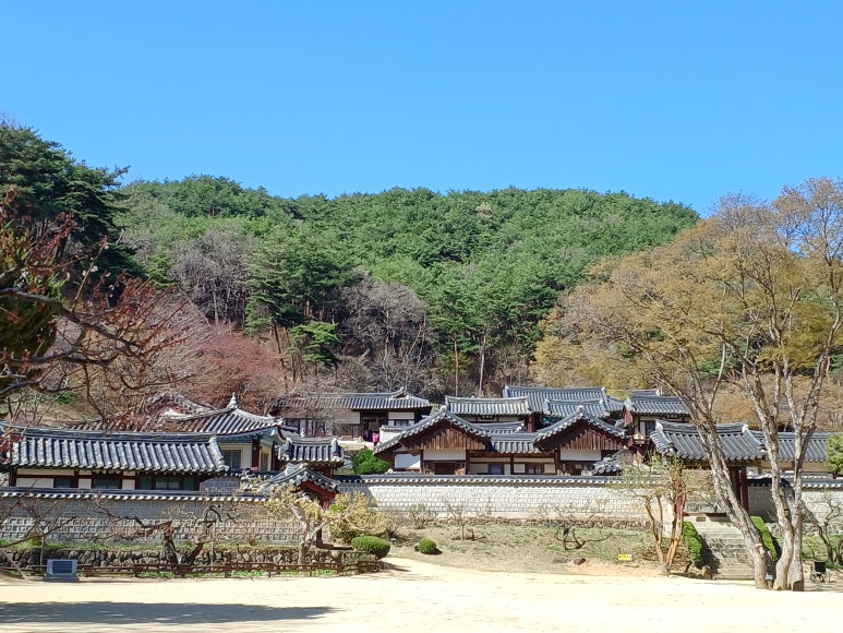 법무사정용이사무소 이미지