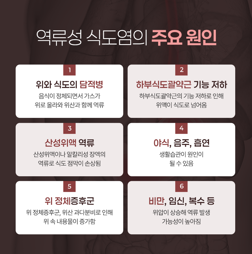 위담 이미지