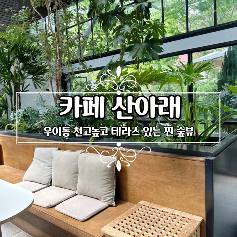 파티멜리시 이미지