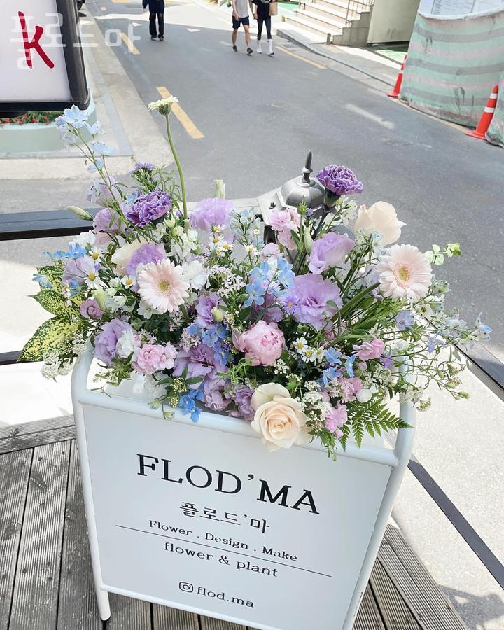 플로드마 이미지