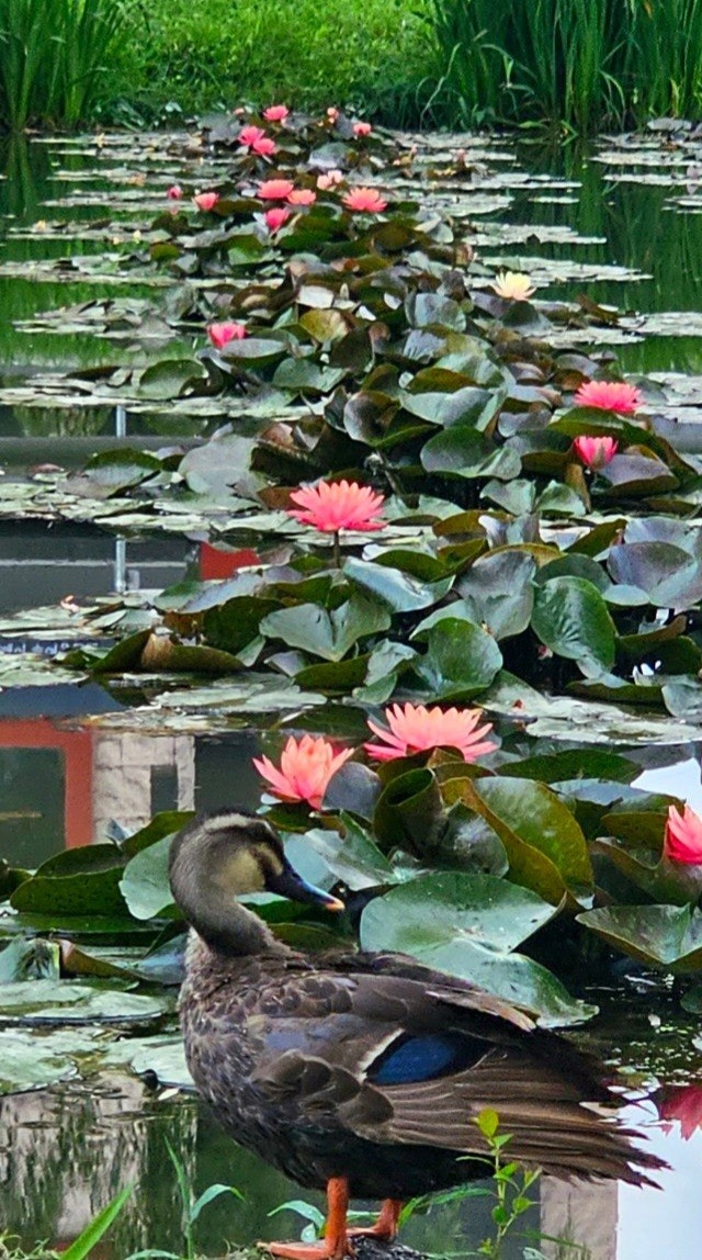 한세상 이미지