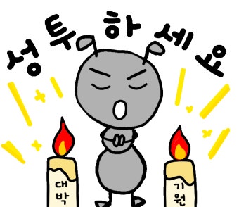 뉴키즈온 이미지