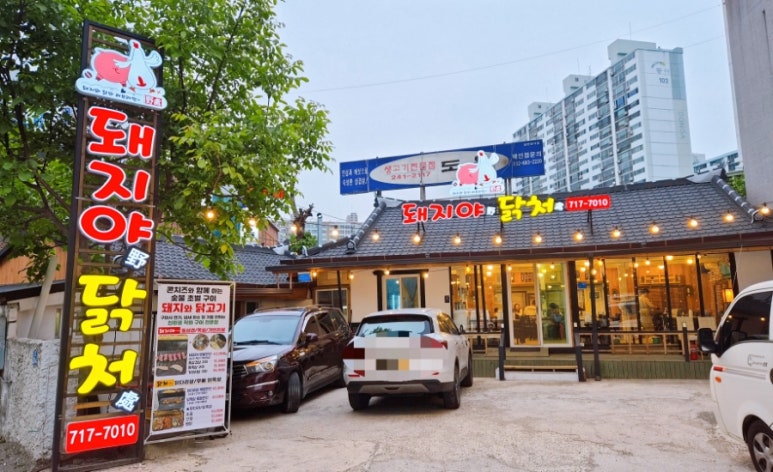 돼지야&닭 이미지