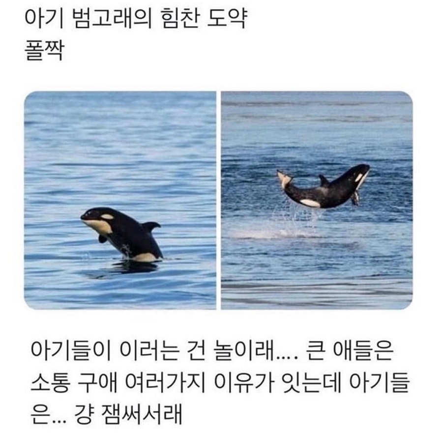 룰루랄라 이미지