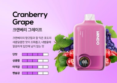 반도전자 이미지
