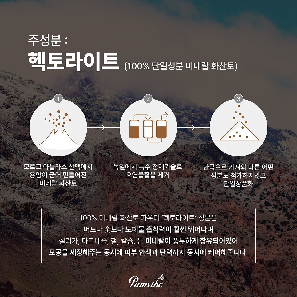 팜스테라 이미지