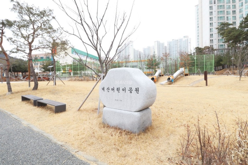 대전계산초등학교 이미지