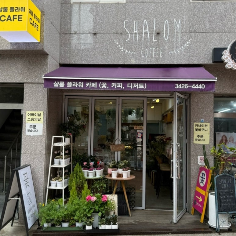 샬롬플라워 이미지