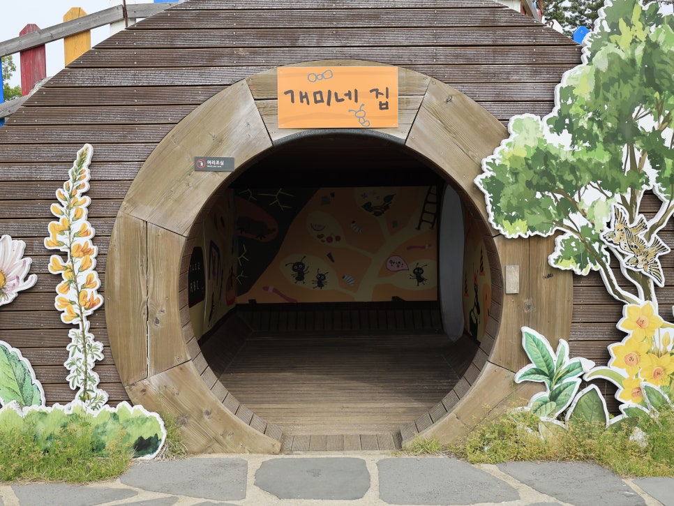 세종카메라 이미지