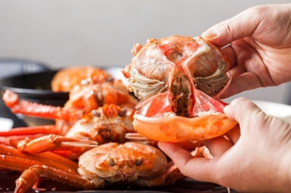 정훈식당 이미지