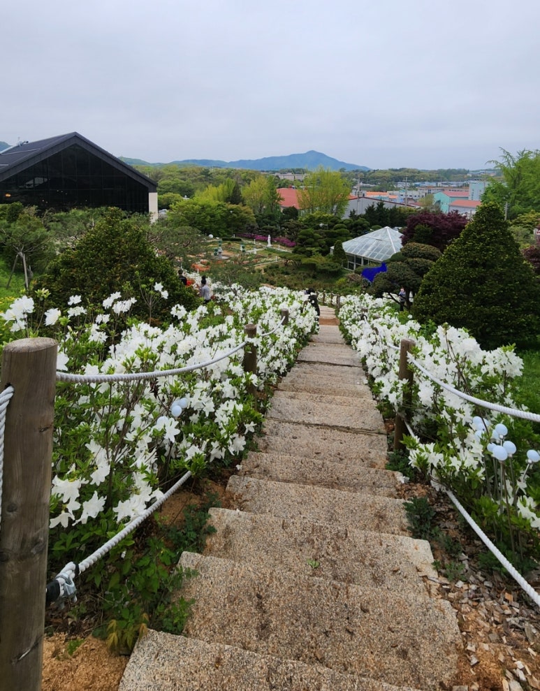카페드첼시 이미지
