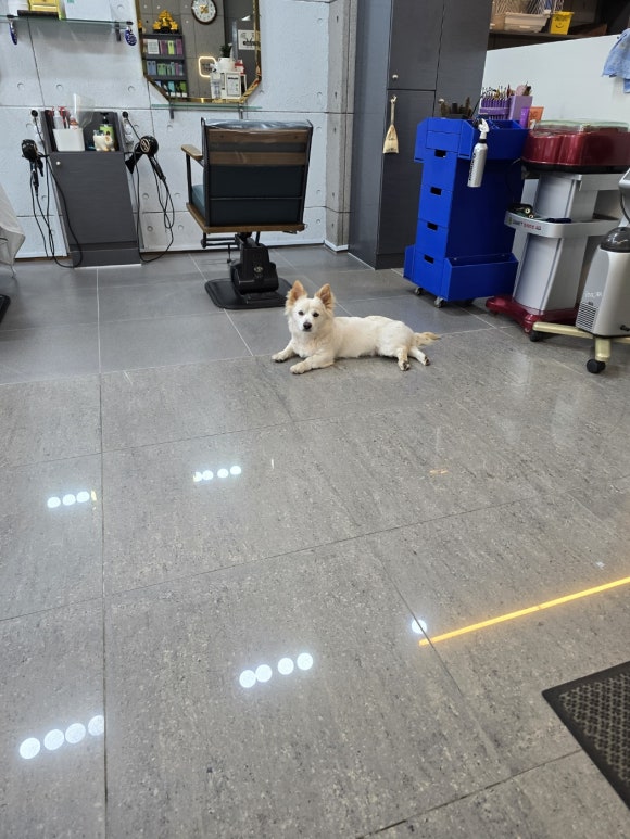 김도영미용실 이미지