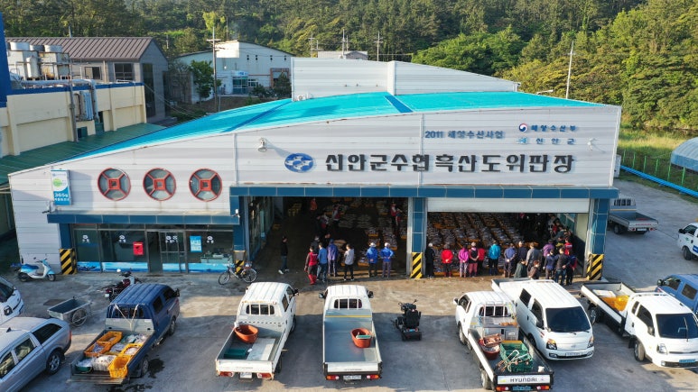 흑산홍어 이미지