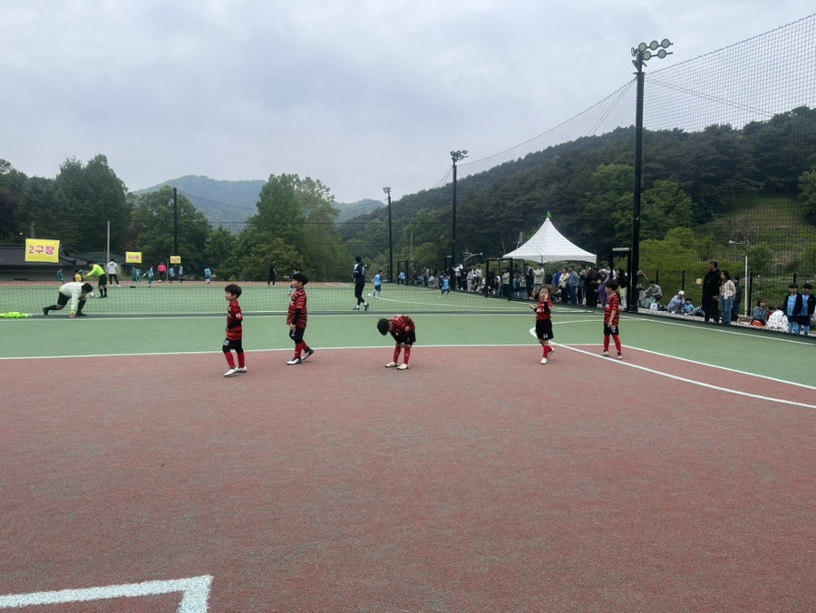 보람에프씨(FC) 이미지