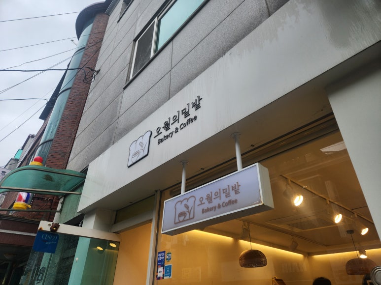 오월의 밀밭 이미지
