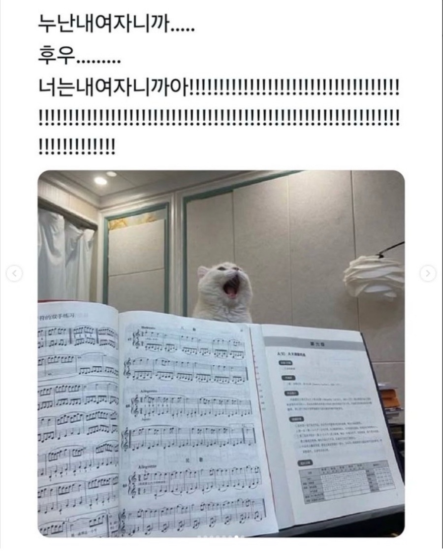 디팝 이미지
