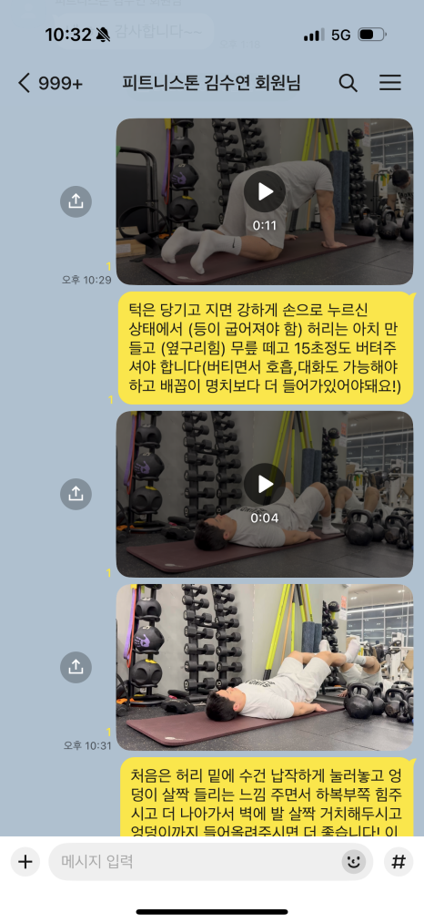 피트니스톤 이미지