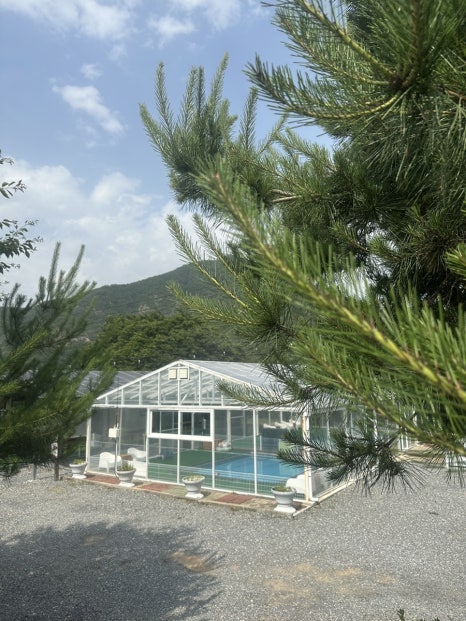 댕댕이애견가족펜션블랙 이미지