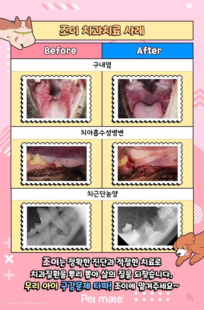 조이치과 이미지