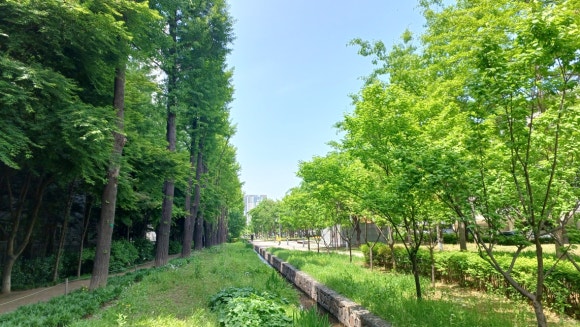 숲길 이미지