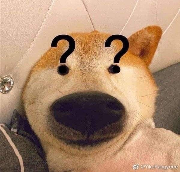 잘생긴물고기 이미지