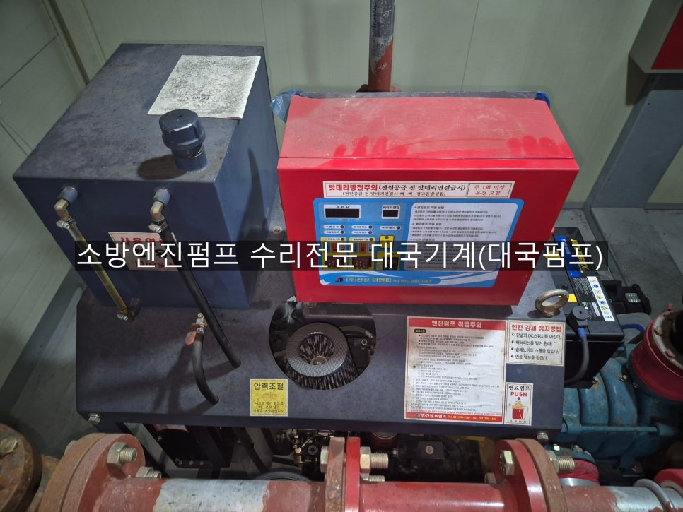 신성부란자 이미지