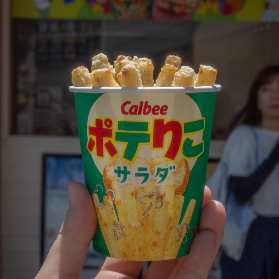 다인리코 이미지