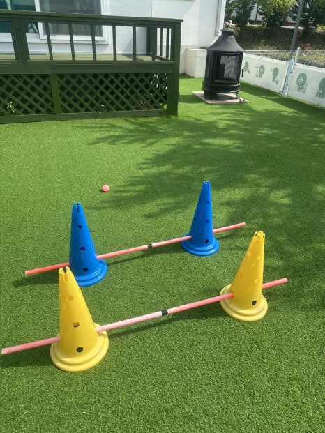 댕댕이애견가족펜션블랙 이미지