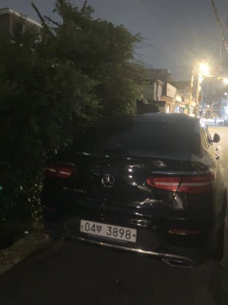 명장수제족발 이미지