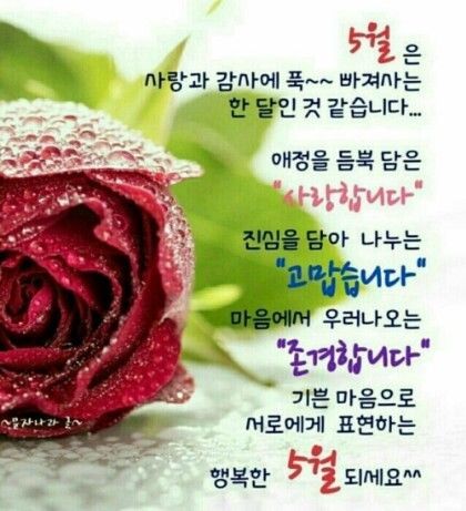 오월 이미지