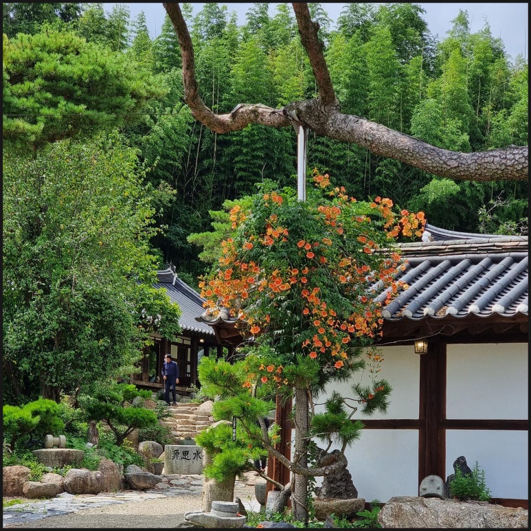 카페150 이미지